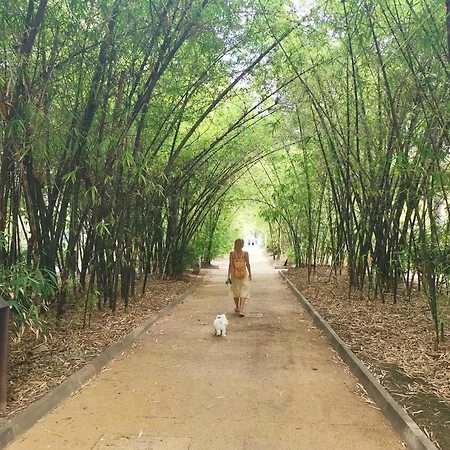 Home2book Elegant Cruz Center דירה סנטה קרוז דה טנריף